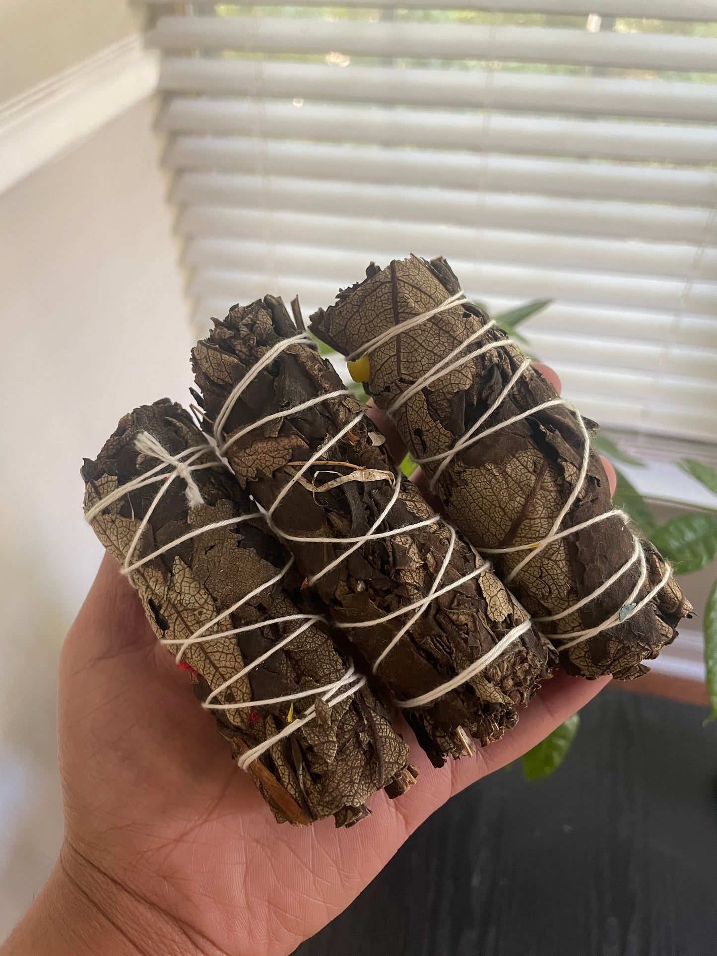 Black sage