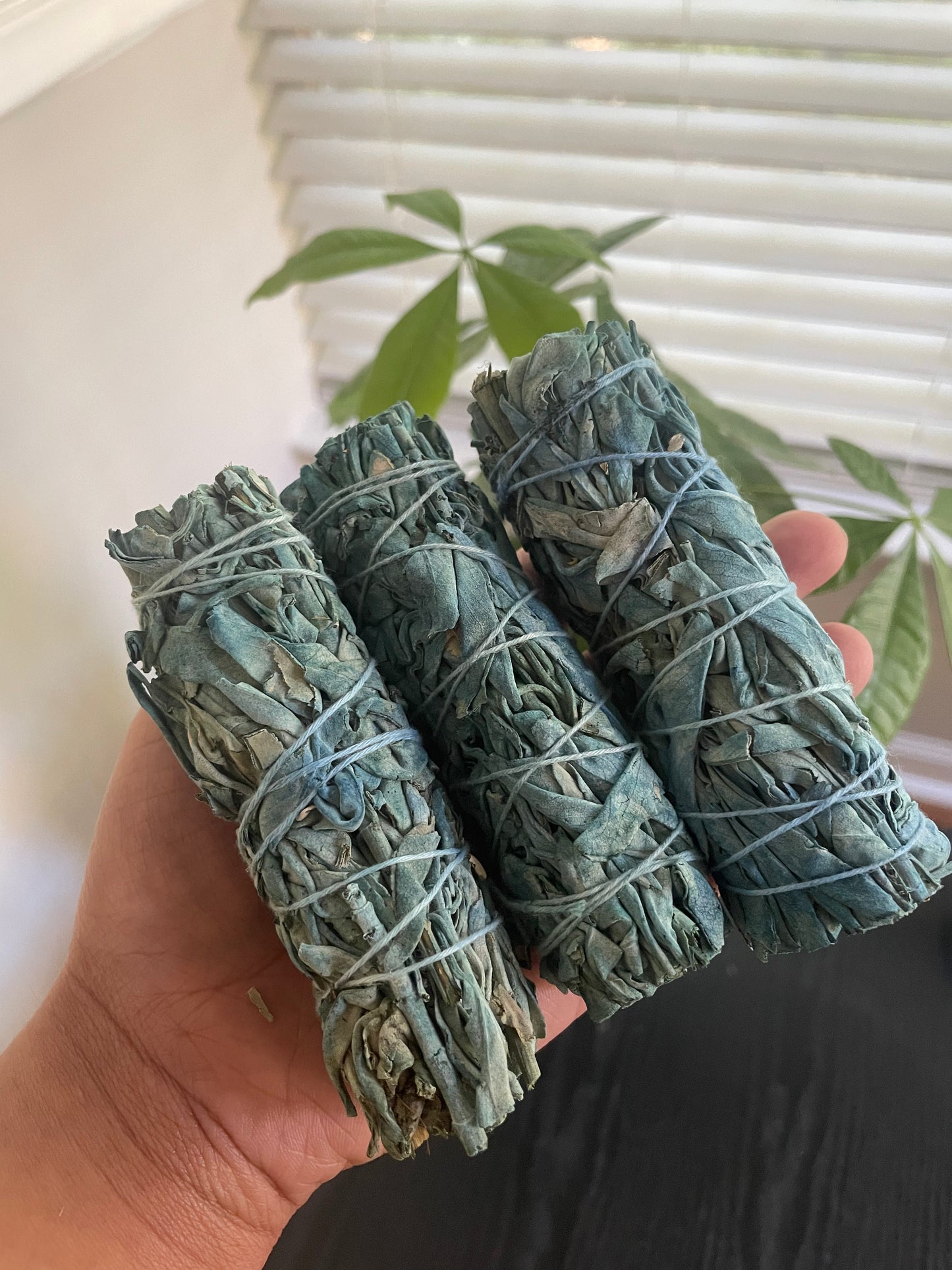 Nag Champa sage