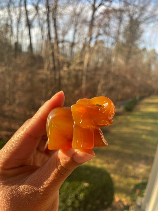 Carnelian elephant