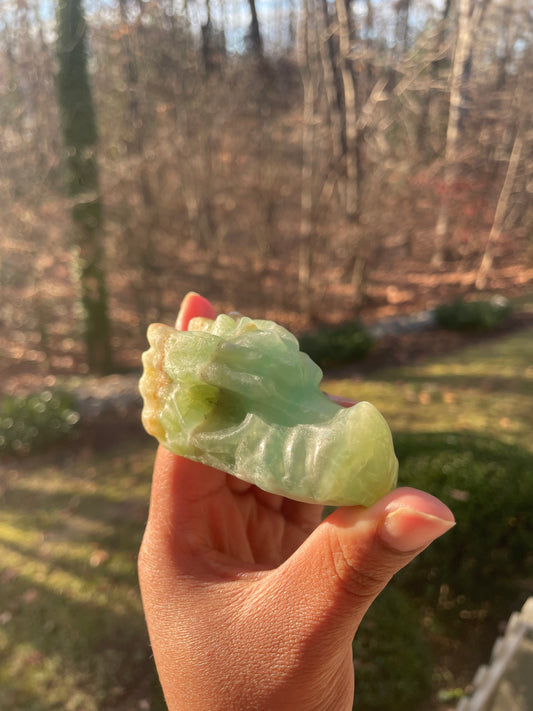 Caribbean calcite dragon head